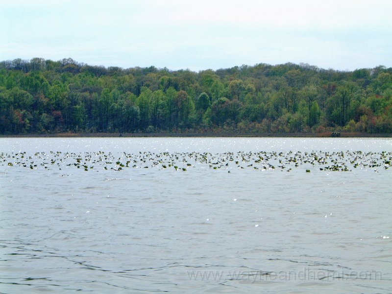 DSCF1848.JPG