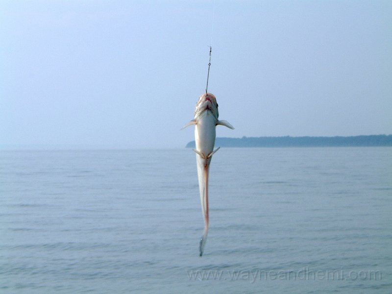 DSCF1878.JPG