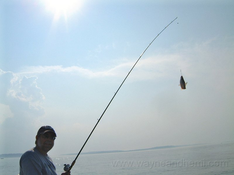 DSCF1879.JPG