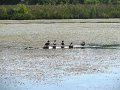 IMG_0671