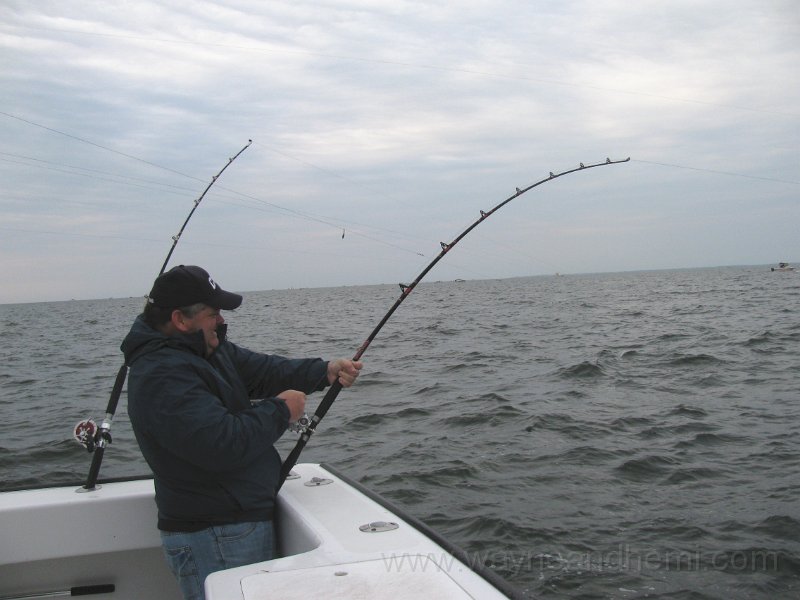 IMG_0068.JPG