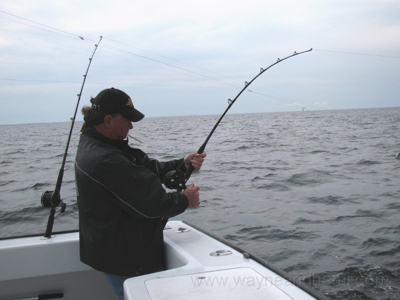 IMG_0075.JPG