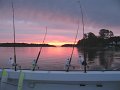 IMG_0041