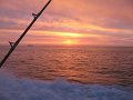IMG_0046