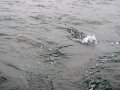IMG_0054