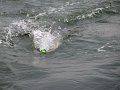 IMG_0066