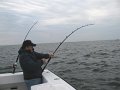 IMG_0068