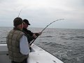 IMG_0077