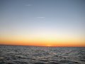 IMG_0123
