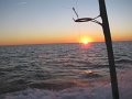 IMG_0127