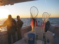 IMG_0130