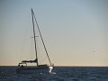 IMG_0135