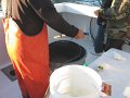 IMG_0137