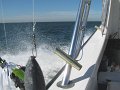 IMG_0151