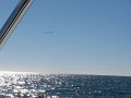 IMG_0157