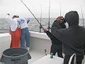IMG_0005