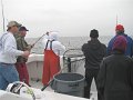 IMG_0007