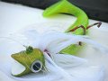 IMG_0013