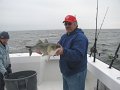 IMG_0014