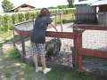 IMG_0006
