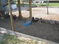 IMG_0008
