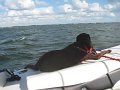IMG_0023
