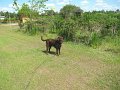 IMG_0024