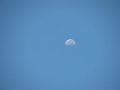 IMG_0071