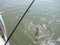IMG_0081