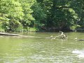 IMG_0084