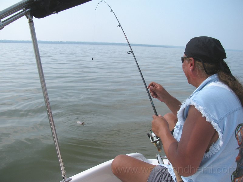 IMG_0099.JPG