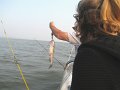 IMG_0090