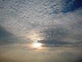 IMG_0095