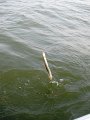 IMG_0096
