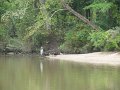 IMG_0013