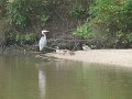 IMG_0014