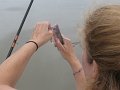 IMG_0026