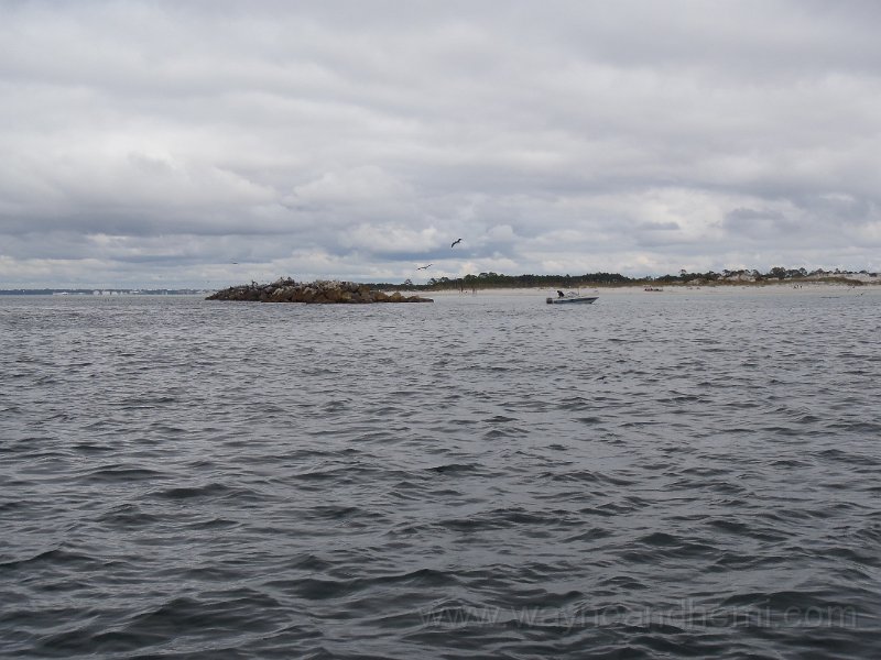 PA110037.JPG