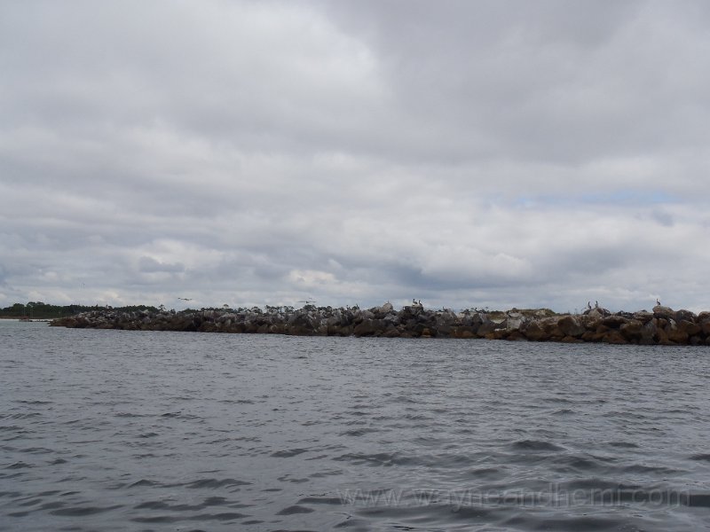 PA110038.JPG
