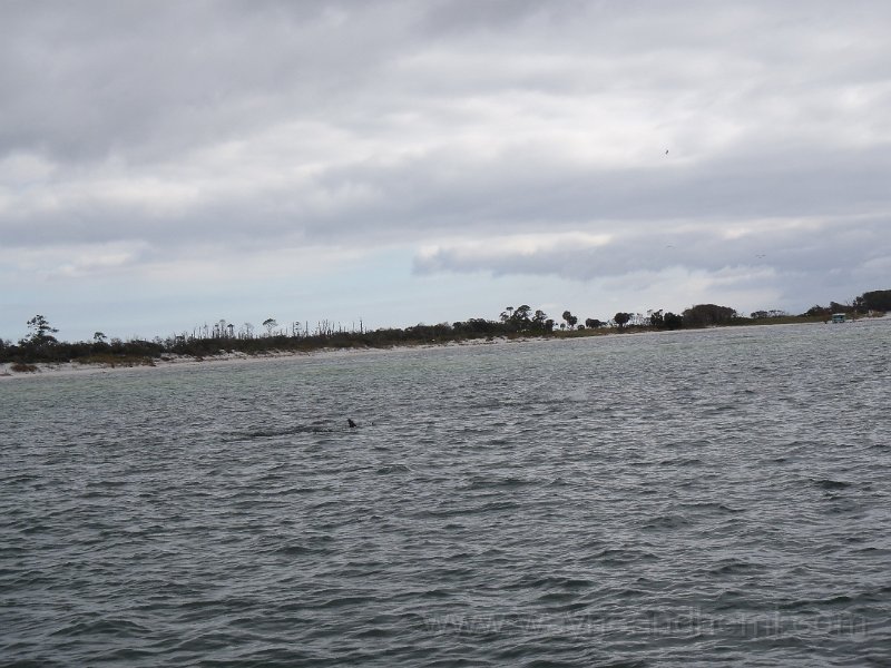 PA110045.JPG