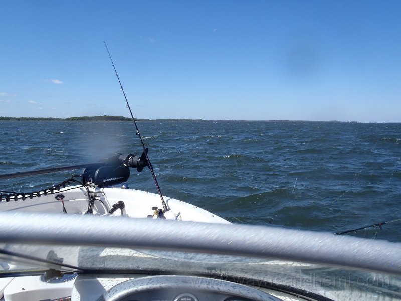 PA190148.JPG