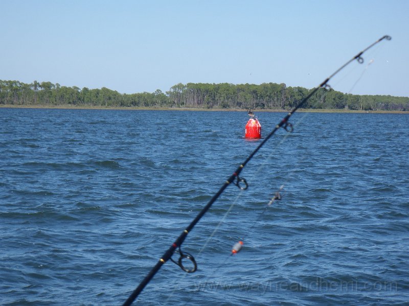 PA190149.JPG