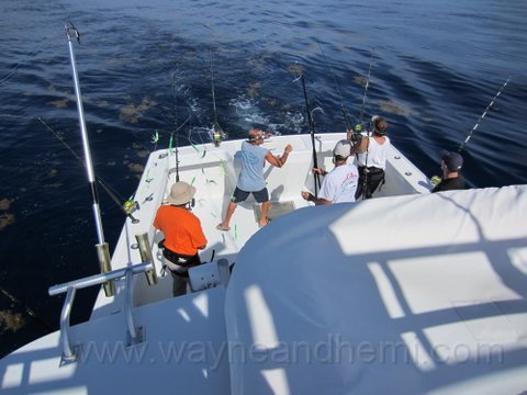 IMG_0286.JPG