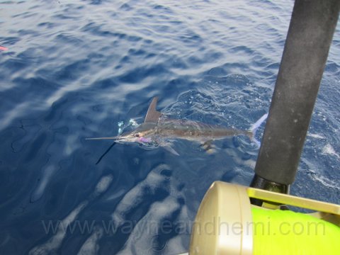 IMG_0304.JPG