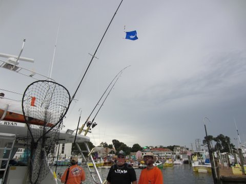 IMG_0319.JPG