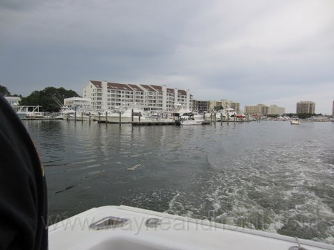 IMG_0320.JPG