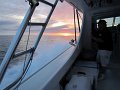 IMG_0281
