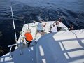 IMG_0286