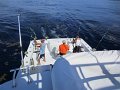 IMG_0287
