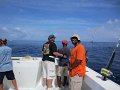 IMG_0293